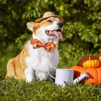 Get Spook-tacular this Halloween with the Maca Bates Adjustable Dog Collar! 🎃👻 Stylish Bowtie & Perfect for Pups of All Sizes! 🐾✨