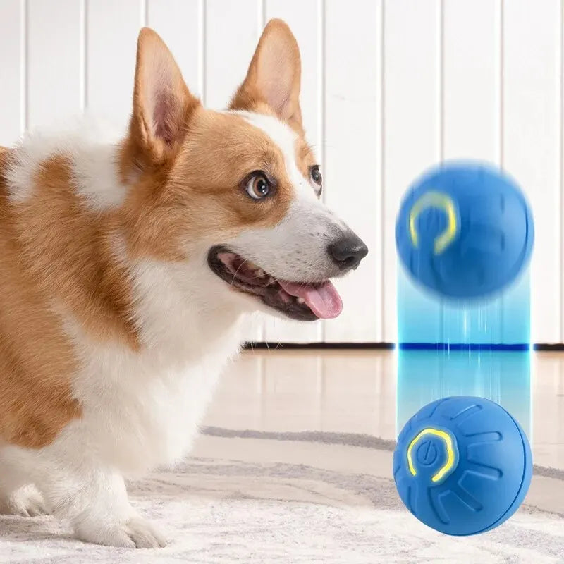 1Pc Dog Ball Automatic Bouncing Ball for Dogs Puppy Essentials Vibrating Dog Ball Dog Birthday Interactive Dog Toys ﻿