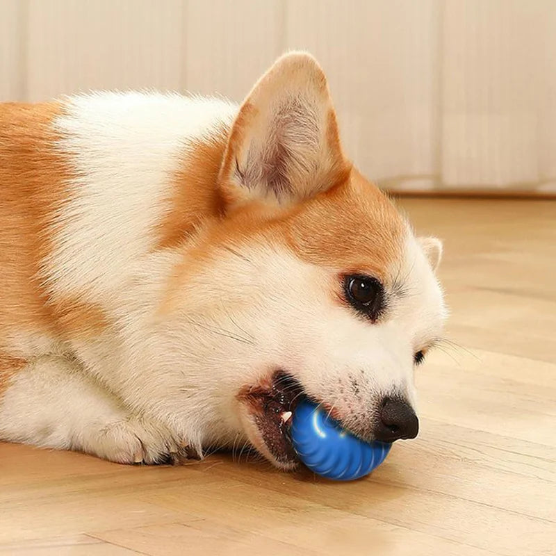 1Pc Dog Ball Automatic Bouncing Ball for Dogs Puppy Essentials Vibrating Dog Ball Dog Birthday Interactive Dog Toys ﻿