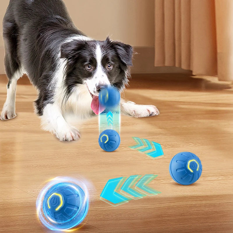 1Pc Dog Ball Automatic Bouncing Ball for Dogs Puppy Essentials Vibrating Dog Ball Dog Birthday Interactive Dog Toys ﻿