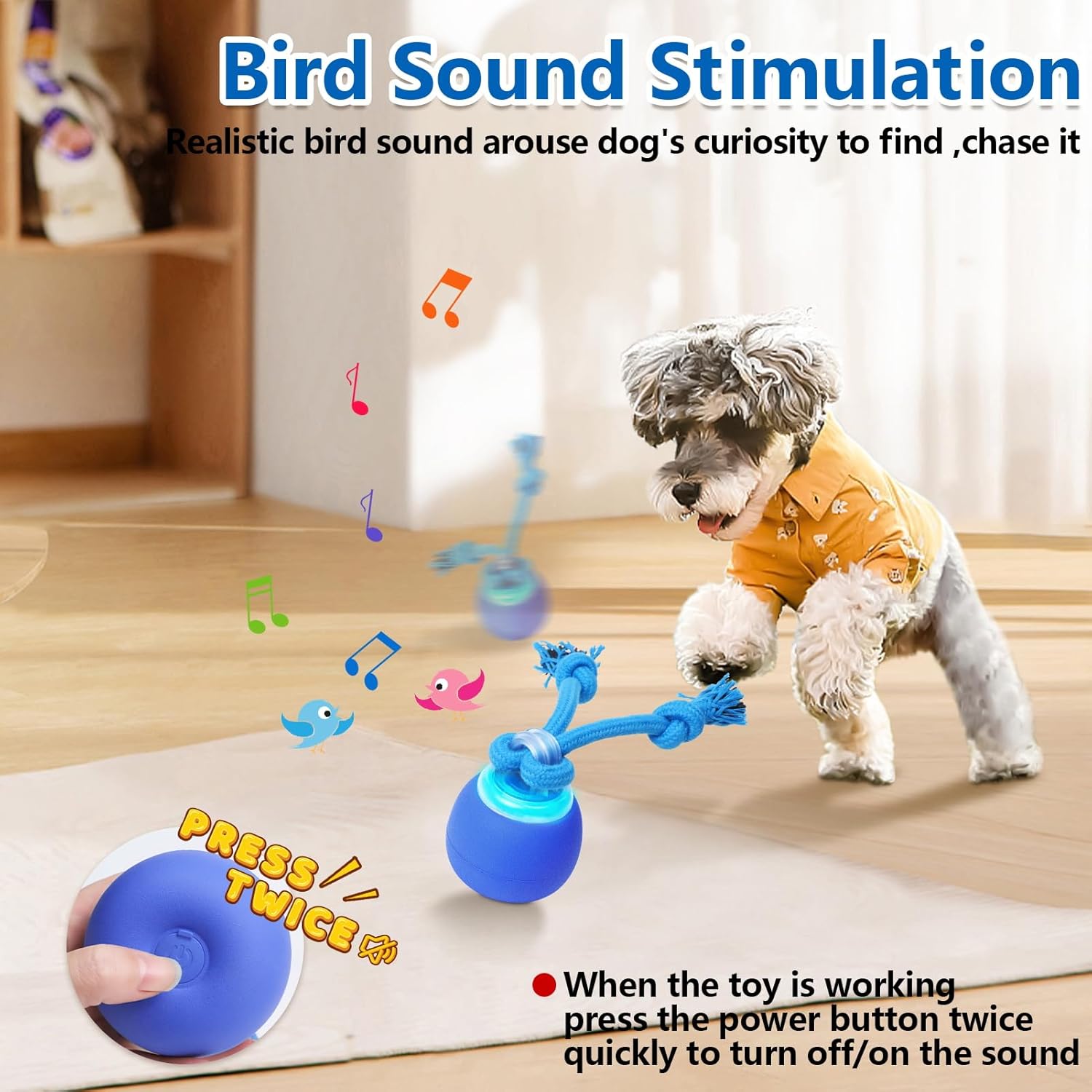 Interactive Dog Toys with Motion Activated, Squeaky Dog Toy Active Rolling Ball for Puppy and Medium Dogs, USB Rechargeable, Wicked Ball