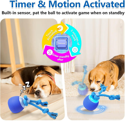 Interactive Dog Toys with Motion Activated, Squeaky Dog Toy Active Rolling Ball for Puppy and Medium Dogs, USB Rechargeable, Wicked Ball