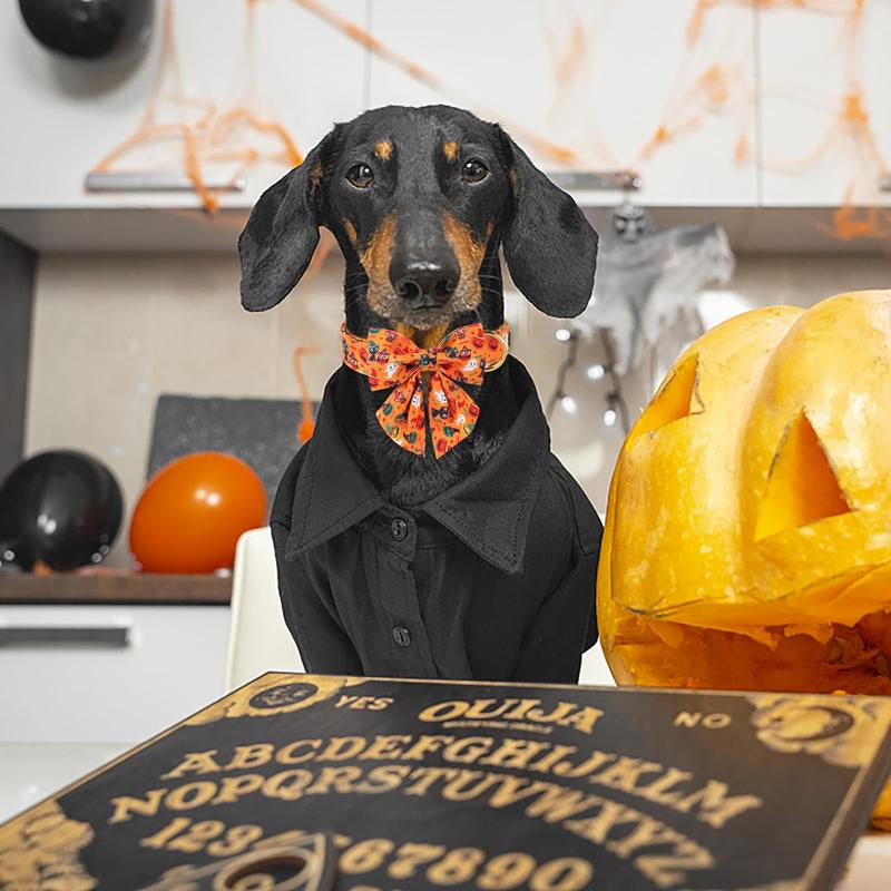 Get Spook-tacular this Halloween with the Maca Bates Adjustable Dog Collar! 🎃👻 Stylish Bowtie & Perfect for Pups of All Sizes! 🐾✨