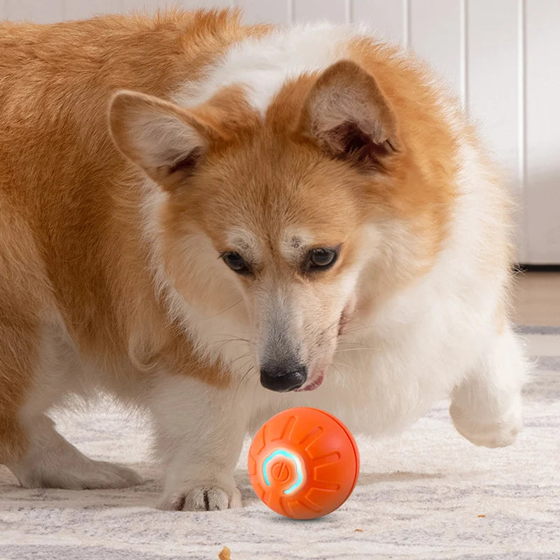1Pc Dog Ball Automatic Bouncing Ball for Dogs Puppy Essentials Vibrating Dog Ball Dog Birthday Interactive Dog Toys ﻿