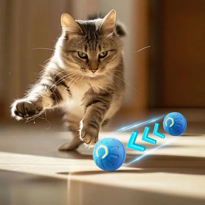 1Pc Dog Ball Automatic Bouncing Ball for Dogs Puppy Essentials Vibrating Dog Ball Dog Birthday Interactive Dog Toys ﻿